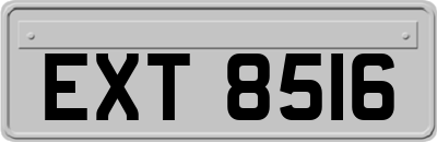 EXT8516