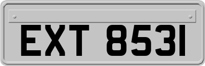 EXT8531