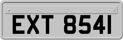 EXT8541