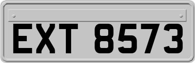 EXT8573