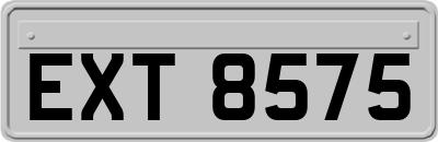 EXT8575