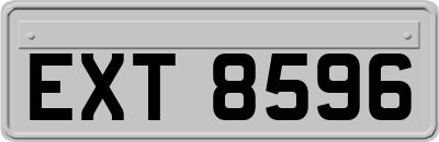 EXT8596