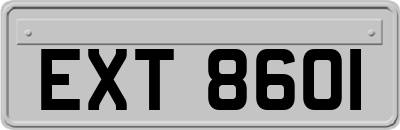EXT8601