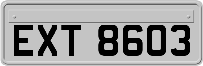 EXT8603