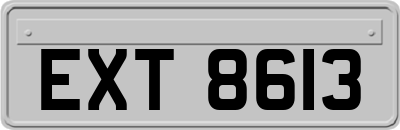 EXT8613