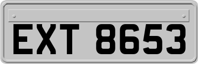 EXT8653