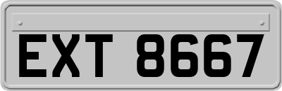 EXT8667
