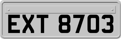 EXT8703