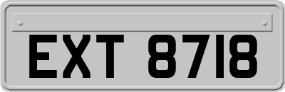 EXT8718