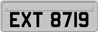 EXT8719