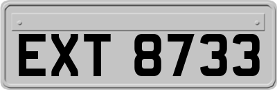 EXT8733