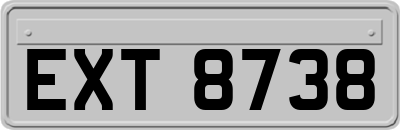 EXT8738
