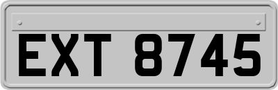 EXT8745