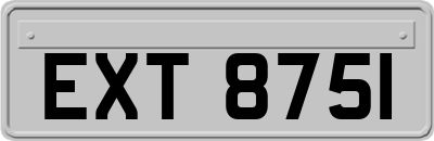 EXT8751
