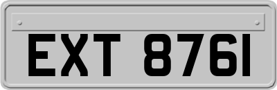 EXT8761