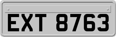 EXT8763