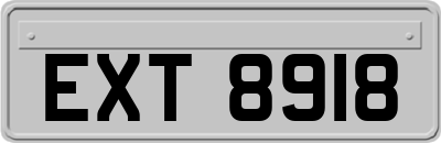 EXT8918