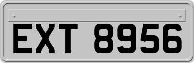 EXT8956