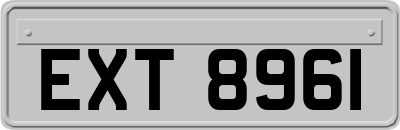 EXT8961