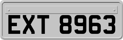 EXT8963