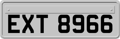 EXT8966