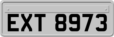 EXT8973
