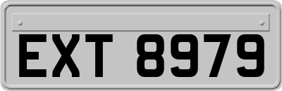 EXT8979