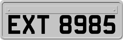 EXT8985