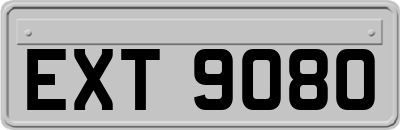 EXT9080