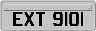 EXT9101