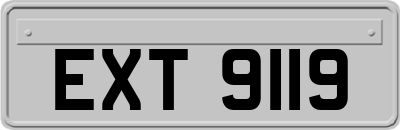 EXT9119
