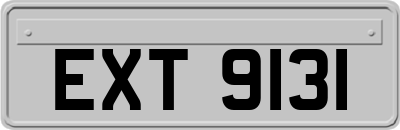 EXT9131
