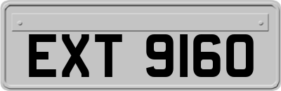 EXT9160