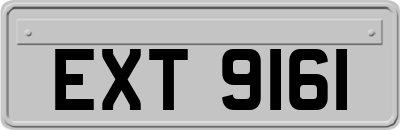 EXT9161
