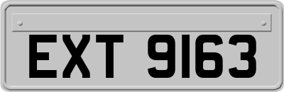 EXT9163