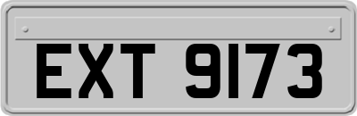 EXT9173
