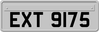 EXT9175