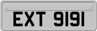EXT9191