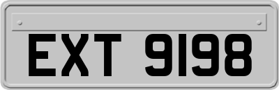 EXT9198