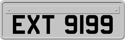 EXT9199