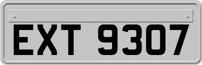 EXT9307