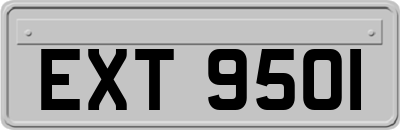 EXT9501