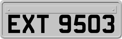 EXT9503