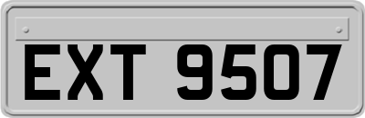 EXT9507