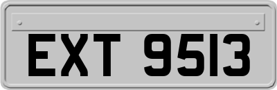 EXT9513