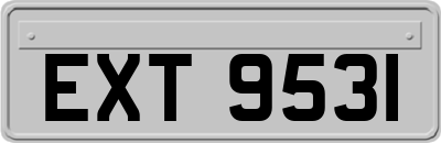 EXT9531
