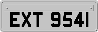 EXT9541