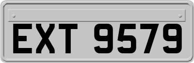 EXT9579