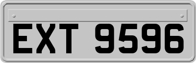 EXT9596