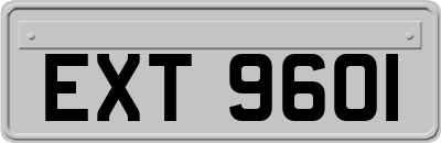 EXT9601